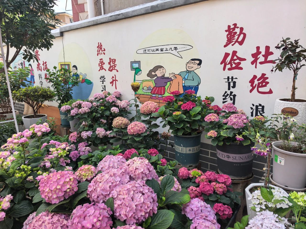 微信圖片_20250728094457.jpg